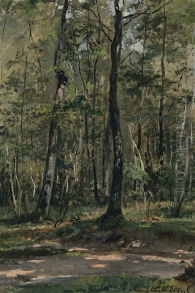 Woodscape - view 1