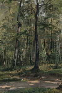Woodscape by Cesar De Cock