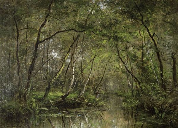 A River In The Woods - view 1