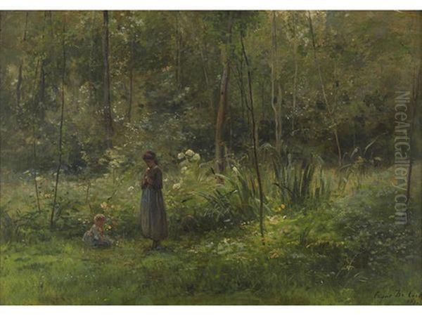 A Stroll In The Forest - view 1