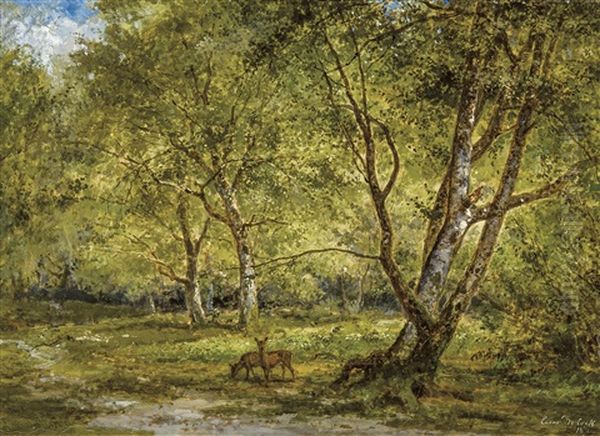 Vue De Foret Avec Chevreuils - view 1