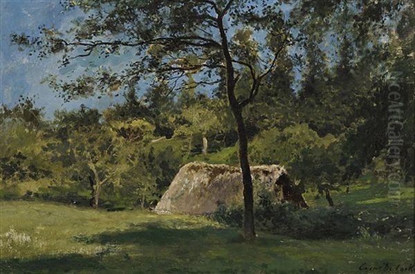 Grove - view 1