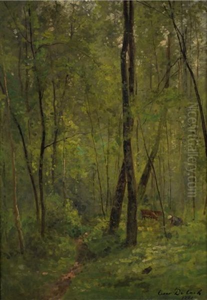 Sous-bois - view 1