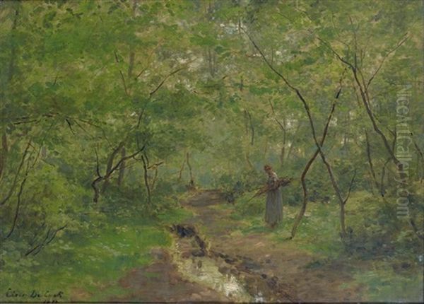 Fagotiere En Sous Bois - view 1