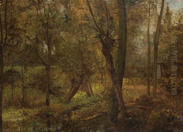Sous-bois - view 1