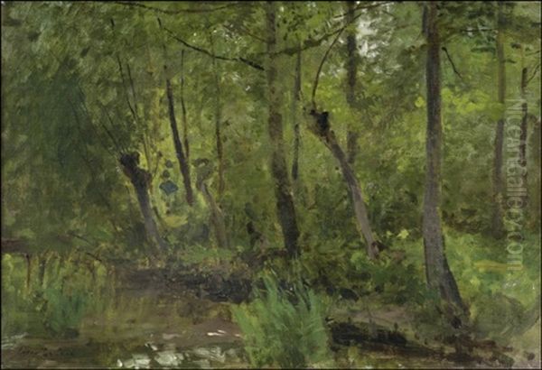 Metsalampi (forest Pond) - view 1
