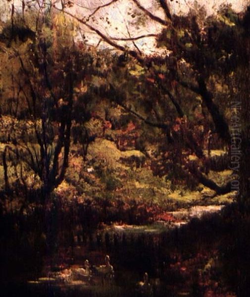 Paysage De Riviere Aux Cygnes - view 1
