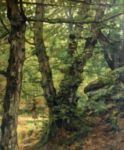Sous-bois Anime by Cesar De Cock