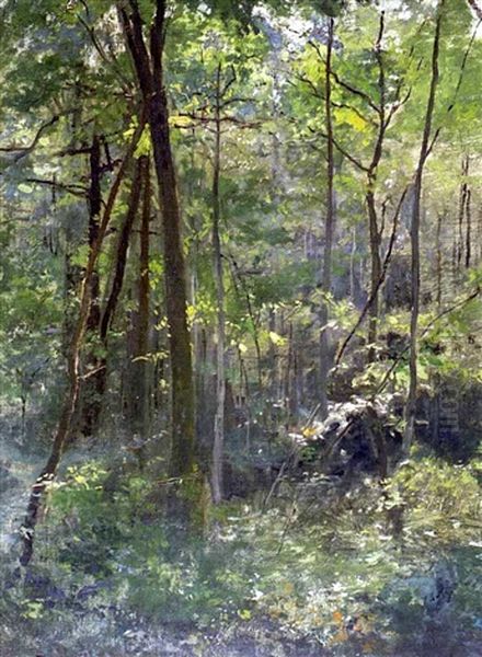 Metsansisusta (in The Forest) - view 1