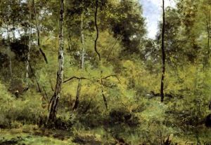 Dans Les Bois De Sevres