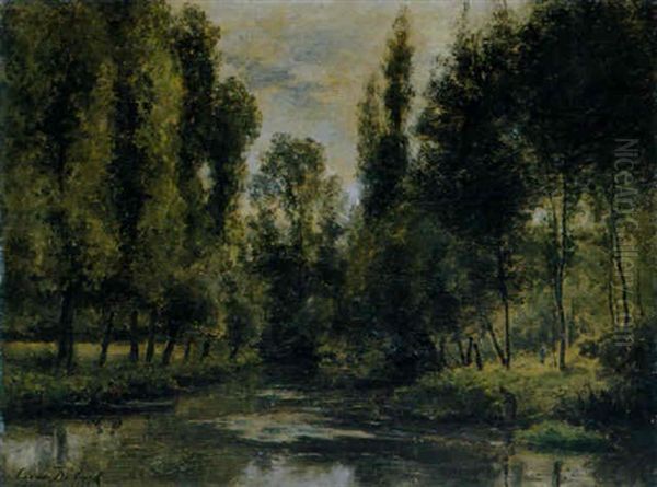 Sommerliche Auenlandschaft - view 1