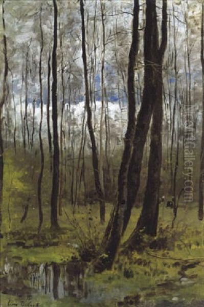 Naakte Bomen - view 1