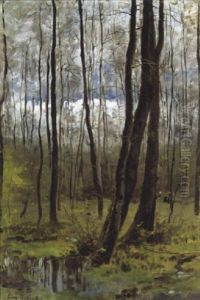 Naakte Bomen Naakte Bomen