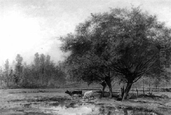 A Cowherd - view 1