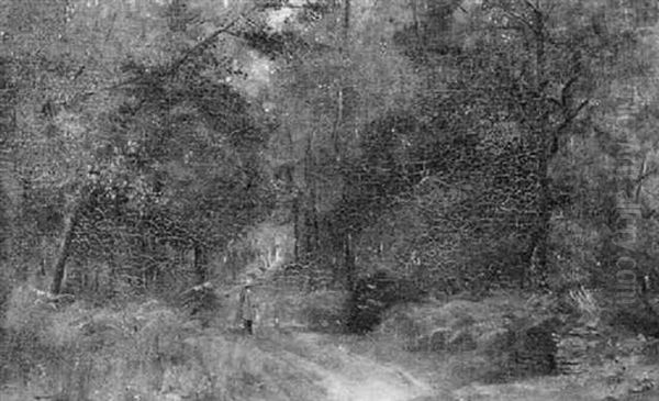 Promeneur En Sous-bois - view 1