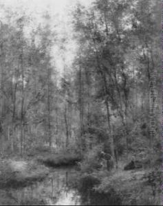 Bords D'une Riviere Dans Un Bois Bords D'une Riviere Dans Un Bois