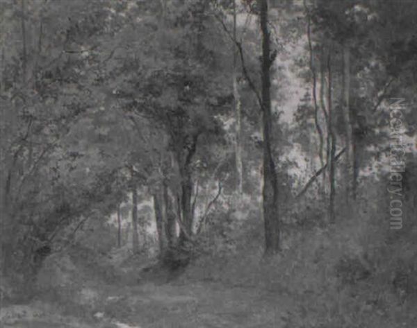 Sous-bois A Pont-l'eveque - view 1