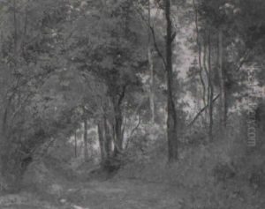 Sous-bois A Pont-l'eveque Sous-bois A Pont-l'eveque