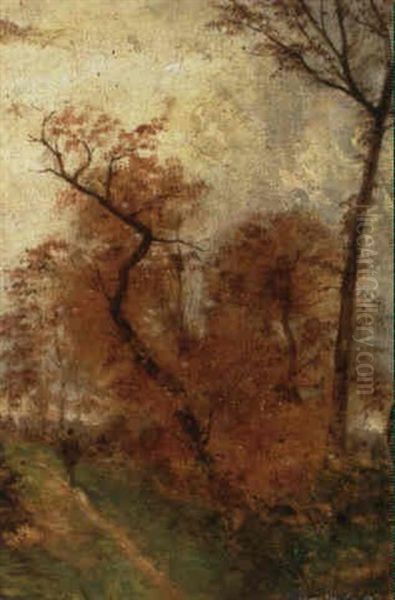 Personnage Dans Un Chemin De Campagne - view 1