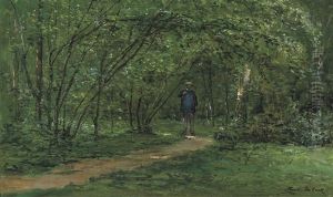 Promeneur Dans Le Bois