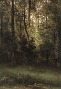 Promenade Pres De La Riviere Dans Un Sous-bois