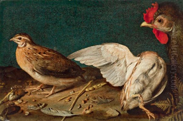 Ein Huhn, Eine Wachtel Und Ein Anderer Vogel - view 1
