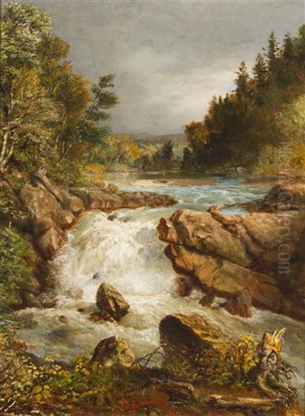 Forest Waterfall - view 1