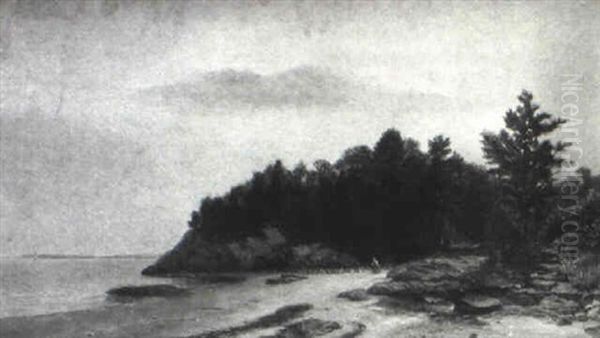 Woody Path By Shore - view 1