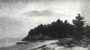 Woody Path By Shore by John Amory Codman