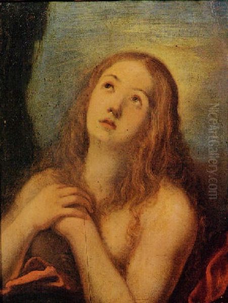 Maria Maddalena Penitente - view 1