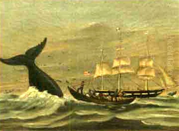 Whaling In The Marqueses Islands - view 1