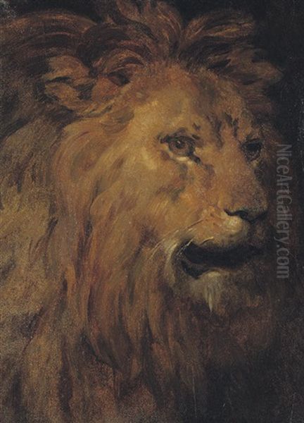 Head Of A Lion In Profile - view 1
