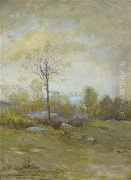 Spring, Lyme - view 1