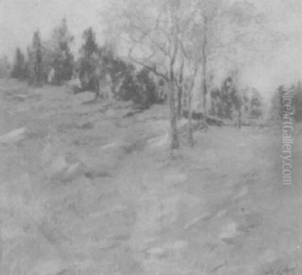 Connecticut Landscape - view 1