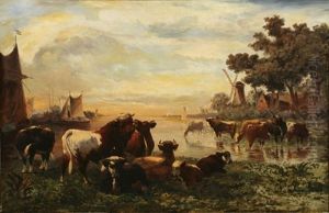 Dutch Estuary Scene With Cows Watering At Sunset