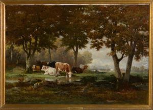 Vaches Au Bord De L'eau