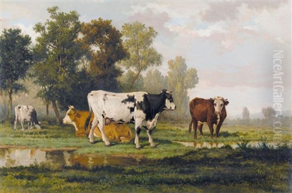 Weidende Rinder In Einer Auenlandschaft - view 1