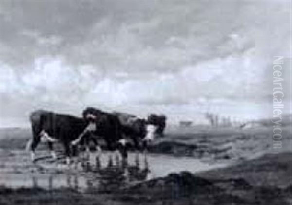 Landschaftsidylle Mit Trankenden Kuhen - view 1