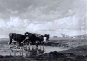 Landschaftsidylle Mit Trankenden Kuhen