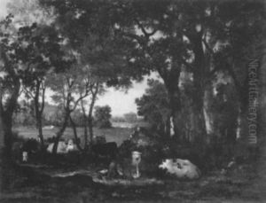 Ruhende Kuhherde Im Schatten Der Baume