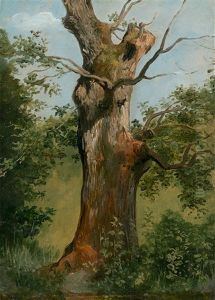 Tree Study Tree Study