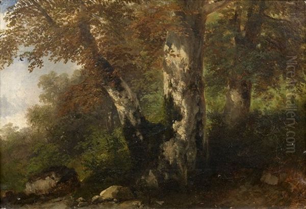 Le Gros Arbre - view 1