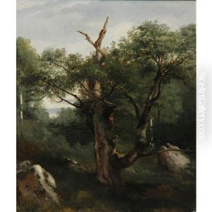Study Of A Tree by Jules Louis Phillipe Coignet