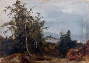 Vue Prise En Foret (fontainebleau ?) by Jules Louis Phillipe Coignet