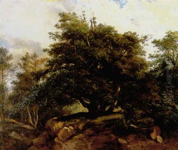 Le Vieux Chene En Foret De Fontainebleau - view 1