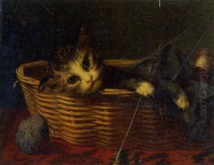 Chaton Au Panier De Tricot