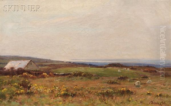 Seaside Pasture With Sheep - view 1