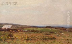 Seaside Pasture With Sheep by Chisholm Cole