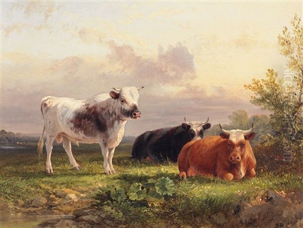 Vieh Auf Der Weide - view 1