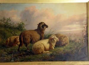 Sheep Resting In Landscape Setting by George Cole